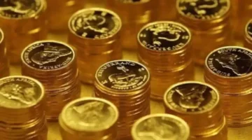 تحديثات الصاغة.. سعر الجنيه الذهب يسجل أرقامًا جديدة في تعاملات الثلاثاء بمصر